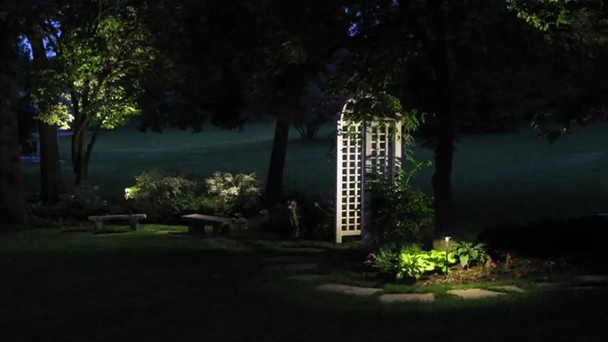 Uplighting on trees and accent lighting along walkway