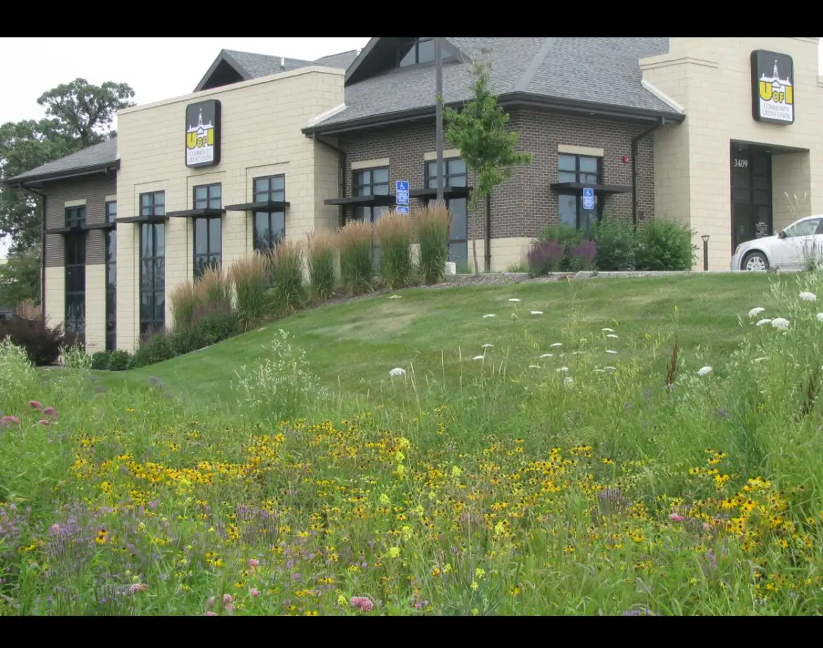 Professional ornamental planting with trees, shrubs, and perennials in Iowa