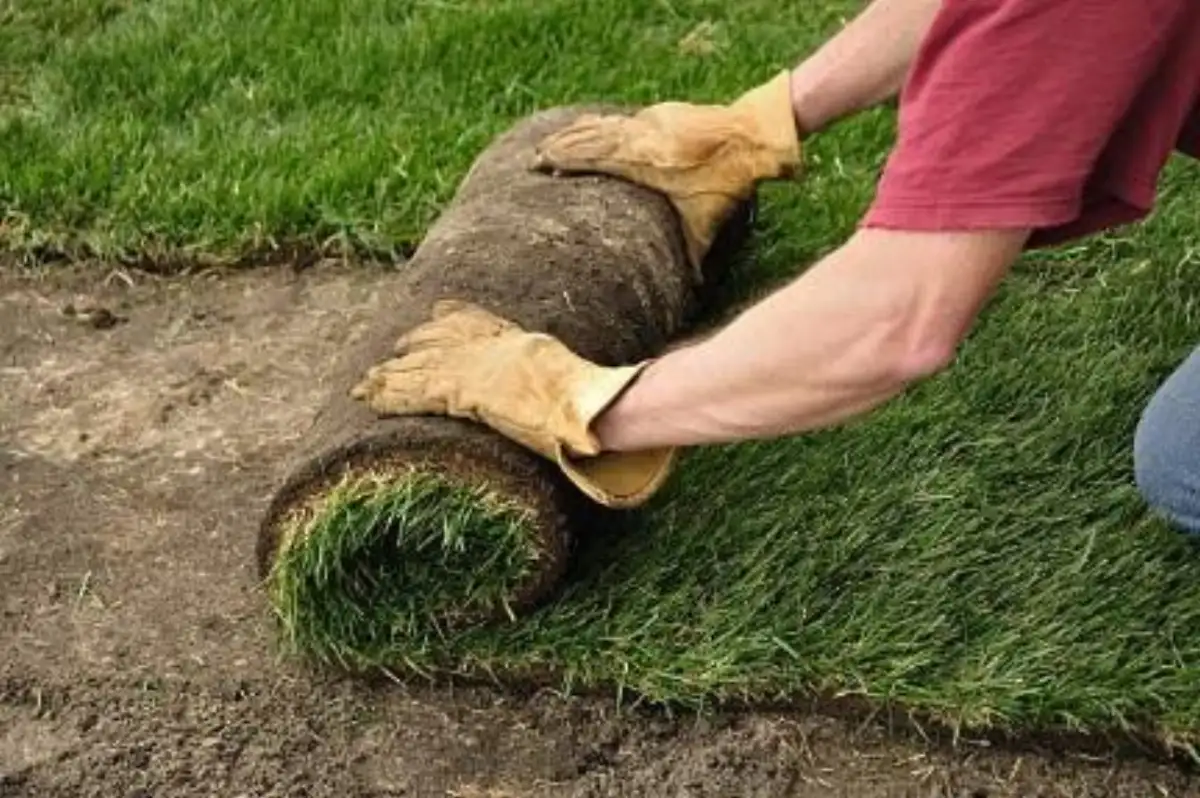 Sod installation project completed by Matthias Landscaping in the Cedar Valley