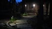 LED Landscape Lighting 14 of 15